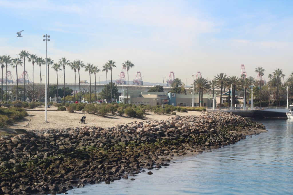 Top Activities in Long Beach